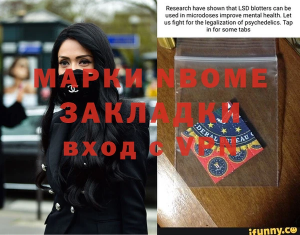 apvp Алзамай