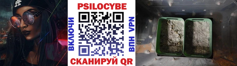 Галлюциногенные грибы мухоморы  где можно купить наркотик  мориарти клад  Южно-Сухокумск 